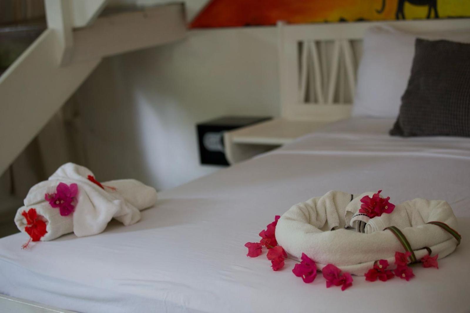 Afreeka Beach Hotel ラス・テレナス エクステリア 写真